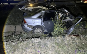 Под Орском Ford врезался в лошадь: водитель и пассажир погибли
