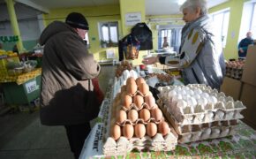 В Оренбуржье дешевели яйца и дорожала мебель