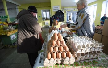 В Оренбуржье дешевели яйца и дорожала мебель