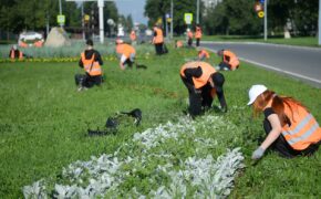 Каждая шестая компания в Оренбурге готова нанимать подростков