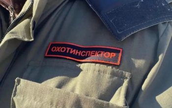 В Оренбуржье выявили 267 нарушений правил охоты