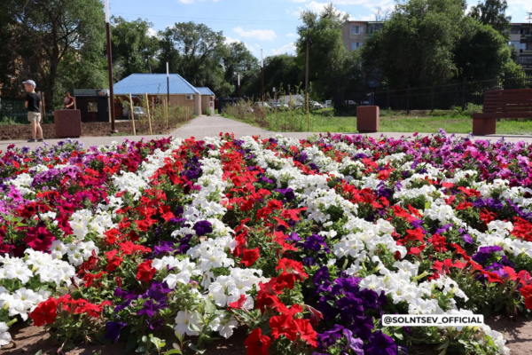 В Ясном открыли Аллею Героев