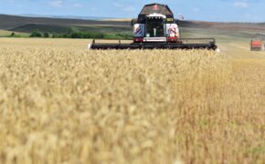 Оренбургские аграрии закупили технику почти на 8 млрд рублей