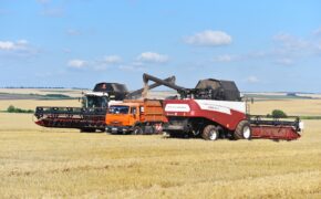 Аграрии Оренбуржья намолотили первый миллион тонн зерна