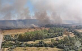 В Беляевском районе ликвидировали ландшафтный пожар