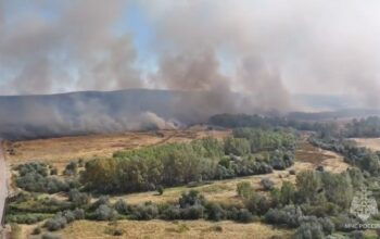 В Беляевском районе ликвидировали ландшафтный пожар