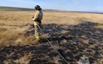 В Гайском округе потушили ландшафтный пожар на площади 3 тысячи гектаров