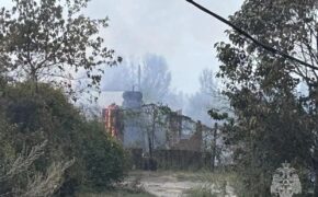 В Соль-Илецком округе пожар повредил около 30 садовых домиков