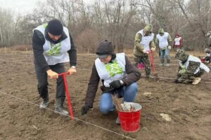 В Оренбургской области началась акция «Сохраним лес»