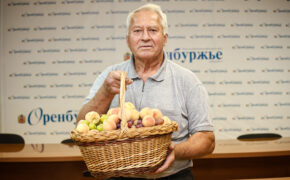 Оренбуржец собирает на своём участке урожай нектаринов и персиков