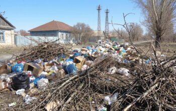 Оренбуржцам напомнили, кто должен вывозить ветки и листву