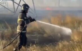 Под Оренбургом огонь охватил три гектара сухой травы