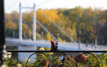 Оренбургские экскурсоводы будут работать с едиными нагрудными бейджами