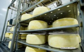 Оренбуржье экспортировало продукцию АПК на 370 млн долларов