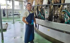 В Оренбургской области определили лучших операторов машинного доения