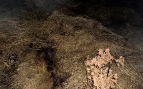 В Гайском округе женщина из мести сожгла 11 тюков сена